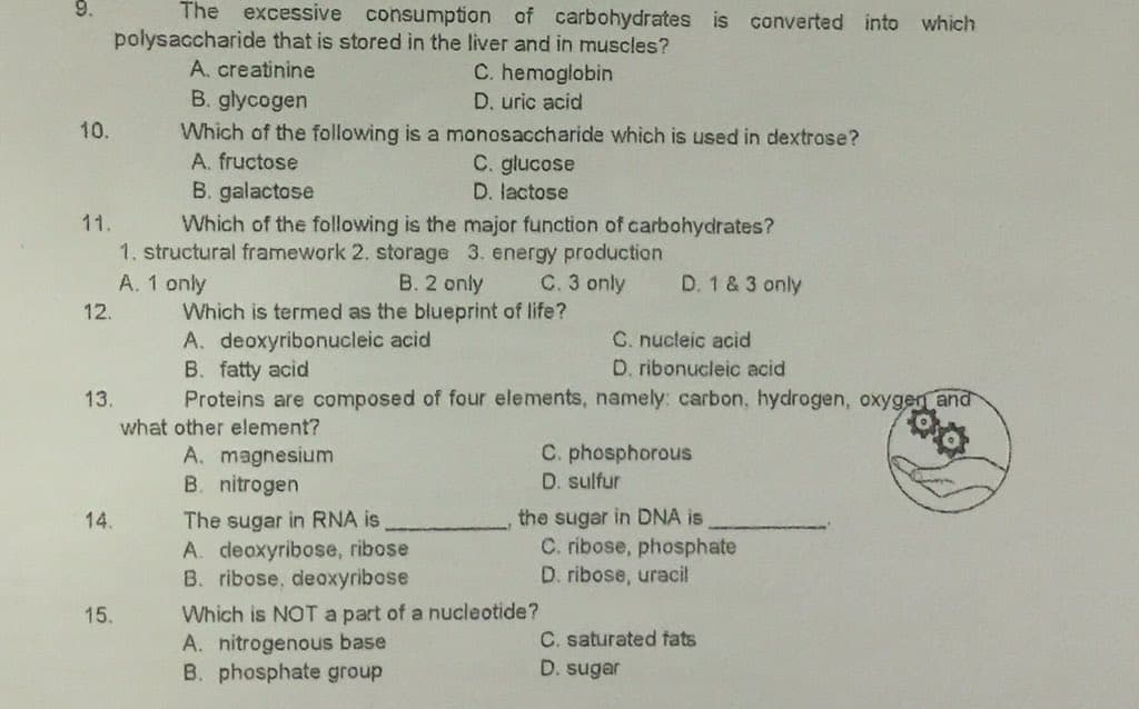 9.
The excessive consumption of carbohydrates is converted into which
polysaccharide that is stored in the liver and in muscles?
A. creatinine
C. hemoglobin
D. uric acid
B. glycogen
10.
Which of the following is a monosaccharide which is used in dextrose?
C. glucose
D. lactose
A. fructose
B. galactose
Which of the following is the major function of carbohydrates?
11.
1. structural framework 2. storage 3. energy production
B. 2 only
D. 1 & 3 only
A. 1 only
Which is termed as the blueprint of life?
A. deoxyribonucleic acid
B. fatty acid
Proteins are composed of four elements, namely: carbon, hydrogen, oxygen and
C. 3 only
12.
C. nucteic acid
D. ribonucleic acid
13.
what other element?
A. magnesium
B. nitrogen
C. phosphorous
D. sulfur
The sugar in RNA is
A. deoxyribose, ribose
B. ribose, deoxyribose
the sugar in DNA is
C. ribose, phosphate
D. ribose, uracil
14.
Which is NOT a part of a nucleotide?
A. nitrogenous base
B. phosphate group
15.
C. saturated fats
D. sugar
