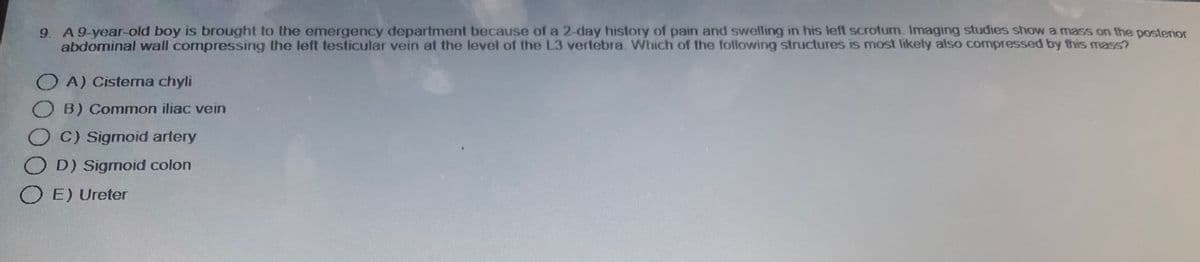 9. A 9-year-old boy is brought to the emergency department because of a 2-day history of pain and swelling in his left scrotum. Imaging studies show a mass on the posterior
abdominal wall compressing the left testicular vein at the level of the L3 vertebra. Which of the following structures is most likely also compressed by this mass?
OA) Cisterna chyli
OB) Common iliac vein
OC) Sigmoid artery
OD) Sigmoid colon
OE) Ureter