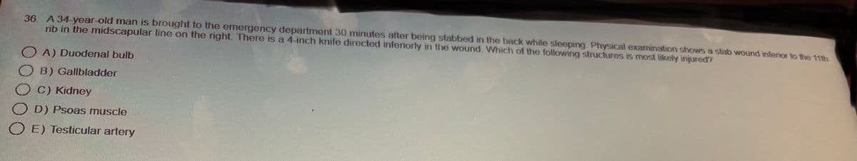 36. A 34-year-old man is brought to the emergency department 30 minutes after being stabbed in the back while sleeping Physical examination shows a stab wound inferior to the 11th
rib in the midscapular line on the right. There is a 4-inch knife directed inferiorly in the wound. Which of the following structures is most likely injured?
OA) Duodenal bulb
B) Gallbladder
OC) Kidney
OD) Psoas muscle
OE) Testicular artery