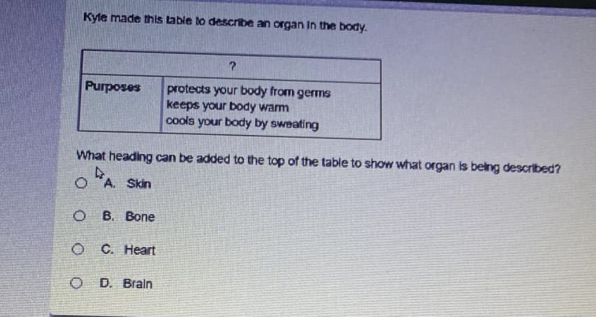 Kyle made this lable to describe an organ In the body.
Purposes
protects your body from germs
keeps your body warm
cools your body by sweating
What heading can be added to the top of the table to show what organ is belng described?
A. Skin
ов Вопe
O C. Heart
O D. Braln
