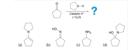 N-H
?
Catalytic H
EH,0)
HO
N.
NH2
HO N
(a)
(b)
(c)
(d)
