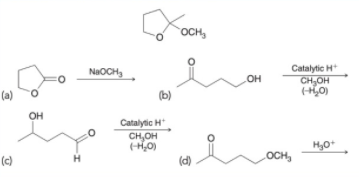 OCH,
Catalytic H
NaOCH,
OH
CH,OH
(a)
(b)
OH
Catalytic H
CH,OH
H,0)
(c)
(d)
OCH,
