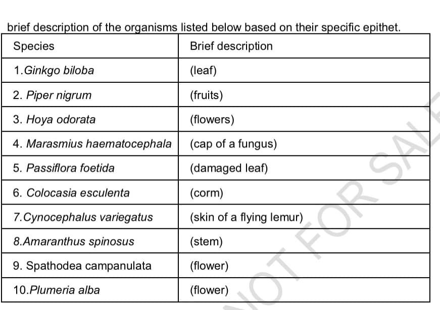 brief description of the organisms listed below based on their specific epithet.
Species
Brief description
1.Ginkgo biloba
(leaf)
2. Piper nigrum
(fruits)
3. Hoya odorata
(flowers)
4. Marasmius haematocephala
(cap of a fungus)
5. Passiflora foetida
(damaged leaf)
6. Colocasia esculenta
(corm)
(skin of a flying lemur)
(stem)
(flower)
(flower)
7.Cynocephalus variegatus
8.Amaranthus spinosus
9. Spathodea campanulata
10.Plumeria alba
X