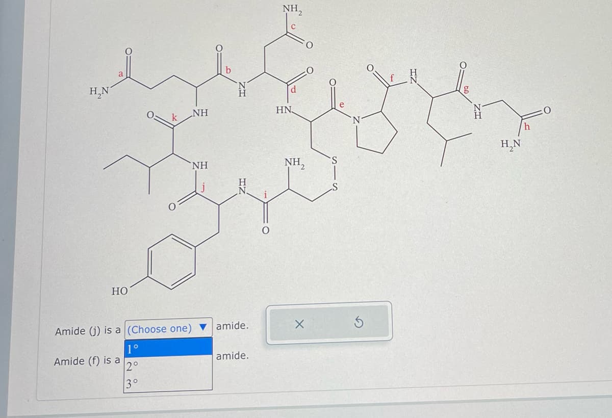 H₂N
a
HO
Amide (f) is a
NH
Amide (j) is a (Choose one) ▼ amide.
1°
2°
3°
NH
amide.
NH₂
d
HN
NH₂
g
H₂N