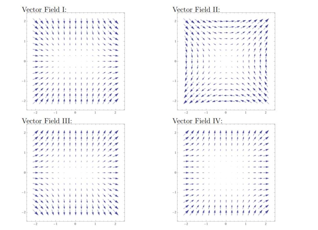 Vector Field I:
Vector Field II:
Vector Field III:
Vector Field IV:
