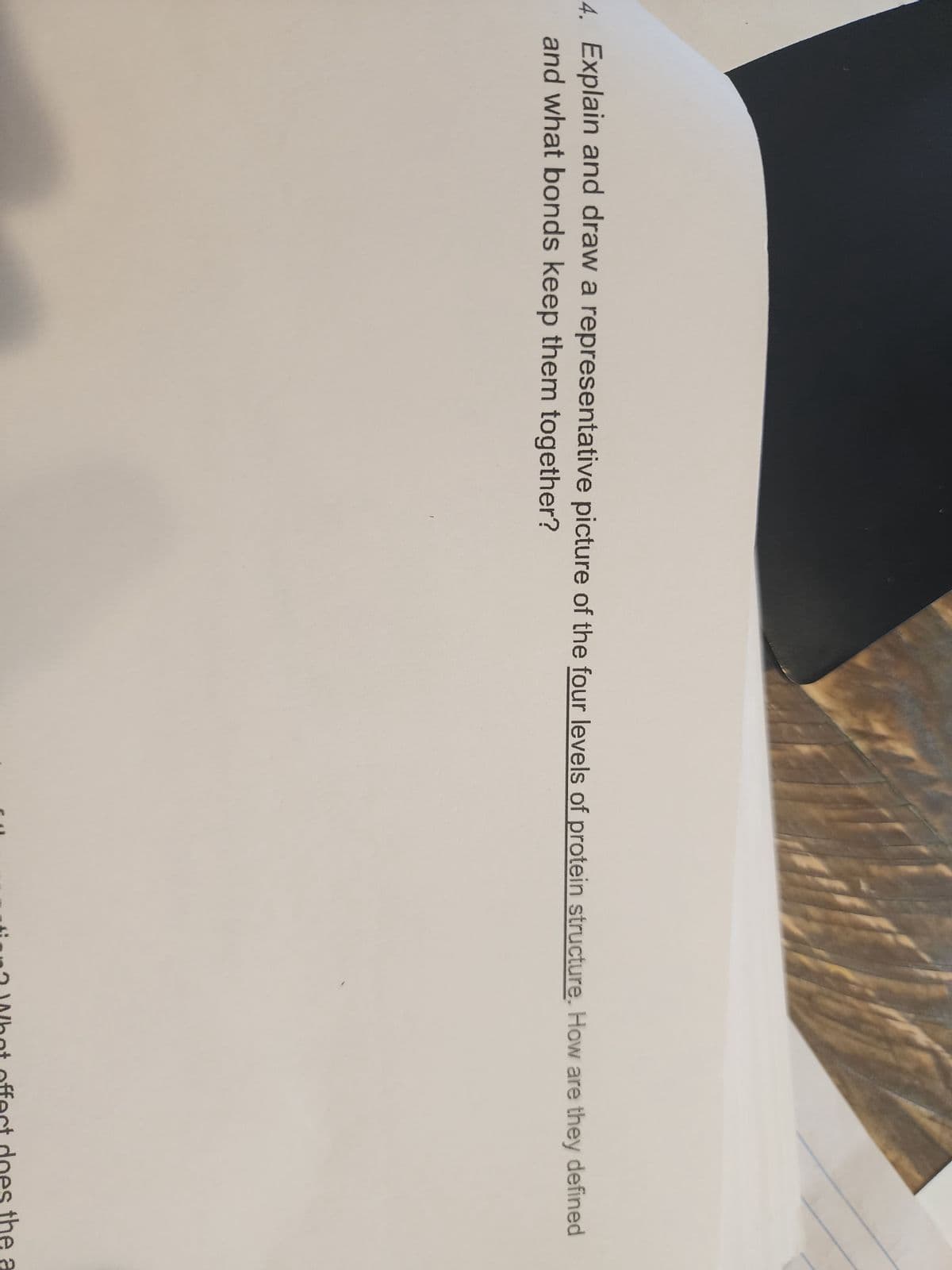 4. Explain and draw a representative picture of the four levels of protein structure. How are they defined
and what bonds keep them together?
? What effect does the a