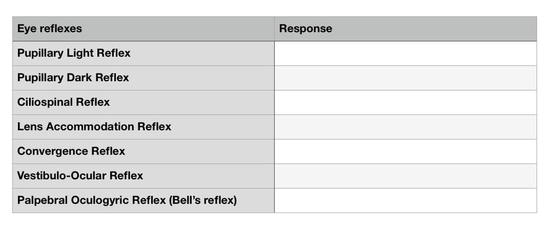 Eye reflexes
Pupillary Light Reflex
Pupillary Dark Reflex
Ciliospinal Reflex
Lens Accommodation Reflex
Convergence Reflex
Vestibulo-Ocular Reflex
Palpebral Oculogyric Reflex (Bell's reflex)
Response