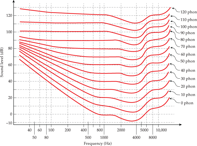 -120 phon.
120
-110 phon.
- 100 phon.
–90 phon
100
- 80 phon
- 70 phon
80
- 60 phon
-50 phon
60
40 phon
- 30 phon
40
- 20 phon
- 10 phon
20
O phon
-10
40
60
100
200
400
800
2000
5000
10,000
80
500
1000
4000
8000
Frequency (Hz)
Sound level (dB)
50
