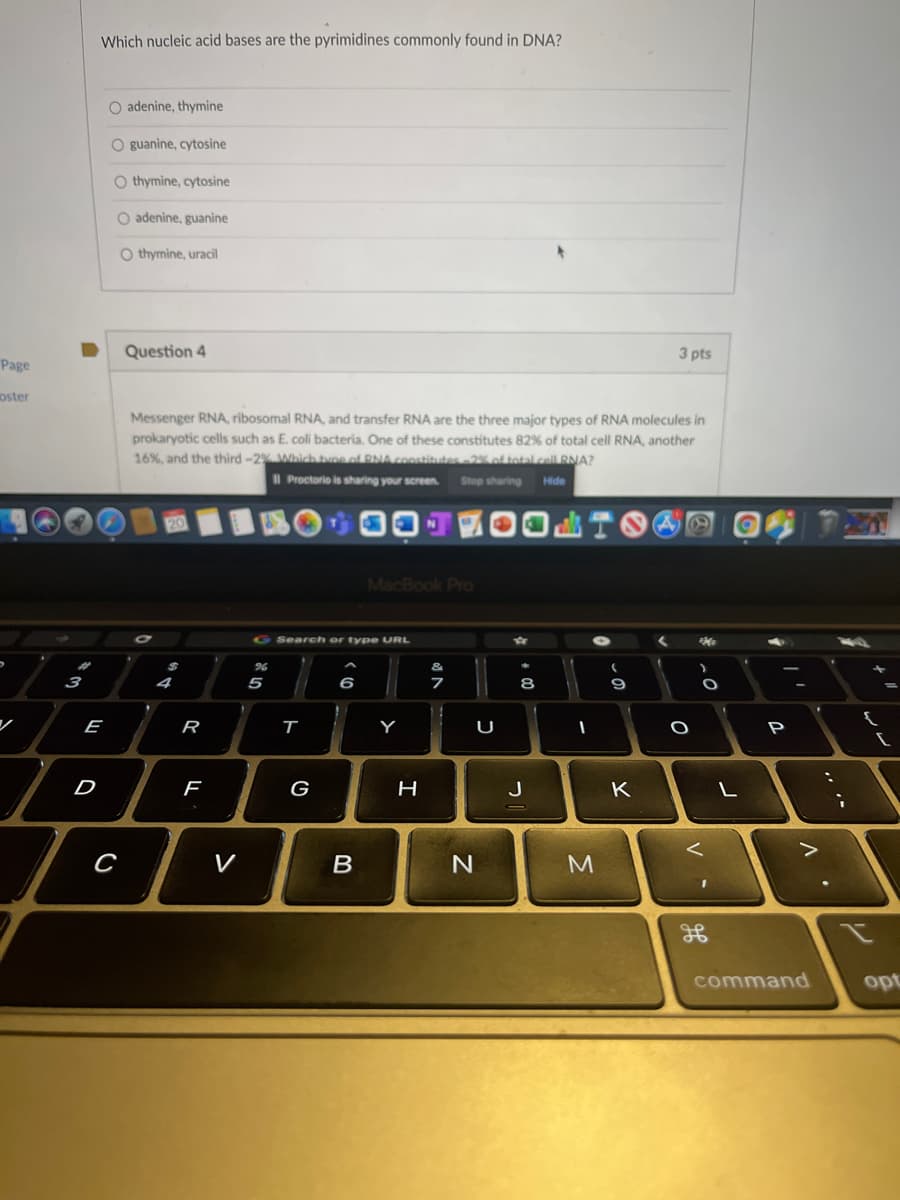 Which nucleic acid bases are the pyrimidines commonly found in DNA?
O adenine, thymine
O guanine, cytosine
O thymine, cytosine
O adenine, guanine
O thymine, uracil
Question 4
3 pts
Page
oster
Messenger RNA, ribosomal RNA, and transfer RNA are the three major types of RNA molecules in
prokaryotic cells such as E. coli bacteria. One of these constitutes 82% of total cell RNA, another
16%, and the third -2% Whichtne of RNAconstitutes 2% of total.cell RNA?
I Proctorio is sharing your screen
Stop sharing
Hide
MacBook Pro
G Search or type URL
%23
96
&
3
4
5
6
8
ン
E
R
Y
U
P
D
G
H
J
K
C
V
B
command
opt
V
-
ト
