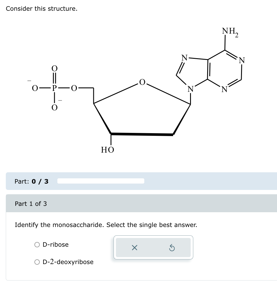 Consider this structure.
+
N
Part: 0/3
Part 1 of 3
HO
Identify the monosaccharide. Select the single best answer.
○ D-ribose
O D-2-deoxyribose
NH₂