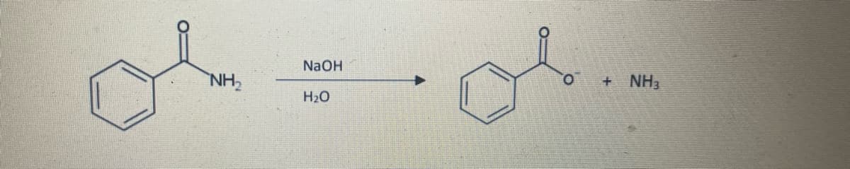 NAOH
NH2
+ NH,
H2O
