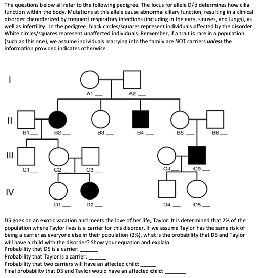 The questions below all refer to the following pedigree. The locus for allele D/d determines how cilia
function within the body. Mutations at this allele cause abnormal ciliary function, resulting in a clinical
disorder characterized by trequent respiratory intections (including in the ears, sinuses, and lungs), as
well as infertility. In the pedigree, black circles/squares represent individuals affected by the disorder.
White circles/squares represent unaffected individuals. Remember, if a trait is rare in a population
(such as this one), we assume individuals marrying into the family are NOT carriers unless the
information provided indicates otherwise.
A1
A2
B1
B2
B3,
B4
B5
B6,
II
C1
C2
C3
C4
C5
IV
D1-
D2
D4 –
D5
D5 goes on an exotic vacation and meets the love of her life, Taylor. It is determined that 2% of the
population where Taylor lives is a carrier for this disorder. If we assume Taylor has the same risk of
being a carrier as everyone else in their population (2%), what is the probability that D5 and Taylor
will have a child with the disorder? Show ynur equation and explain
Probability that D5 is a carrier:
Probability that Taylor is a carrier:
Probability that two carriers will have an affected child:
Final probability that D5 and Taylor would have an affected child:
