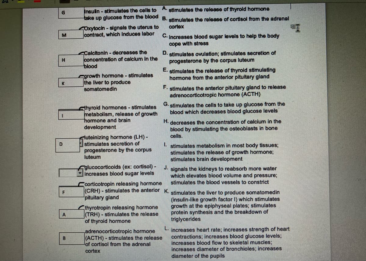 G
M
H
K
I
D
F
A
B
Insulin-stimulates the cells to
take up glucose from the blood
Oxytocin - signals the uterus to
contract, which induces labor
Calcitonin - decreases the
concentration of calcium in the
blood
growth hormone - stimulates
the liver to produce
somatomedin
thyroid hormones - stimulates
metabolism, release of growth
hormone and brain
development
Fluteinizing hormone (LH) -
stimulates secretion of
progesterone by the corpus
luteum
A. stimulates the release of thyroid hormone
B. stimulates the release of cortisol from the adrenal
cortex
glucocorticoids (ex: cortisol) -
increases blood sugar levels
corticotropin releasing hormone
(CRH) - stimulates the anterior
pituitary gland
thyrotropin releasing hormone
(TRH) - stimulates the release
of thyroid hormone
C. Increases blood sugar levels to help the body
cope with stress
adrenocorticotropic hormone
(ACTH)- stimulates the release
of cortisol from the adrenal
cortex
D. stimulates ovulation; stimulates secretion of
progesterone by the corpus luteum
E. stimulates the release of thyroid stimulating
hormone from the anterior pituitary gland
F. stimulates the anterior pituitary gland to release
adrenocorticotropic hormone (ACTH)
G. stimulates the cells to take up glucose from the
blood which decreases blood glucose levels
H. decreases the concentration of calcium in the
blood by stimulating the osteoblasts in bone
cells.
1.
stimulates metabolism in most body tissues;
stimulates the release of growth hormone;
stimulates brain development
J. signals the kidneys to reabsorb more water
which elevates blood volume and pressure;
stimulates the blood vessels to constrict
K. stimulates the liver to produce somatomedin
(insulin-like growth factor I) which stimulates
growth at the epiphyseal plates; stimulates
protein synthesis and the breakdown of
triglycerides
L. increases heart rate; increases strength of heart
contractions; increases blood glucose levels;
increases blood flow to skeletal muscles;
increases diameter of bronchioles; increases
diameter of the pupils