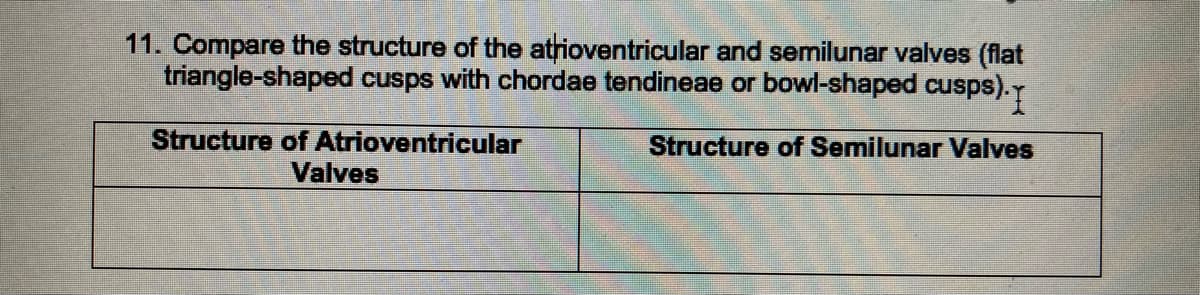 11. Compare the structure of the atrioventricular and semilunar valves (flat
triangle-shaped cusps with chordae tendineae or bowl-shaped cusps).
Structure of Semilunar Valves
Structure of Atrioventricular
Valves