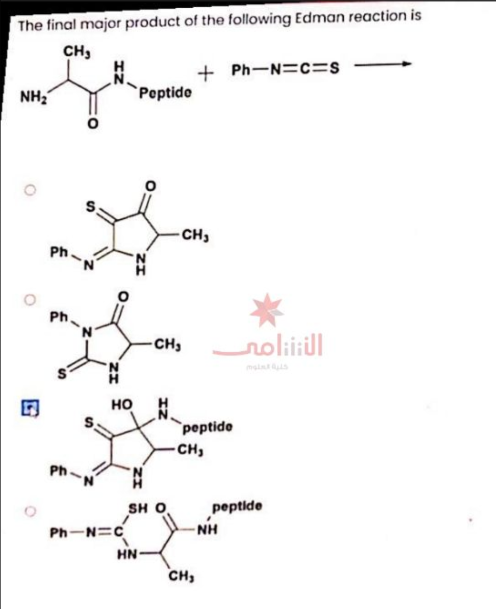 The final major product of the following Edman reaction is
CH3
NH₂
13
Ph.
Ph.
Ph
S
ZH
HO
Ph—N=C
Peptide
HN
-CH₂
SH O
+ Ph-N=C=S
CH₁
peptide
-CH₂
CH,
النتتنامى
-NH
mais aus
peptide