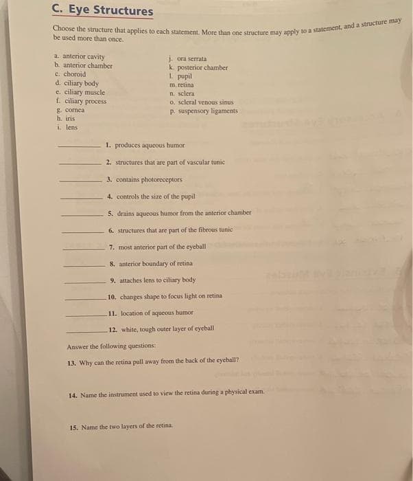 C. Eye Structures
Choose the structure that applies to cach statement. More than one structure may apply to a statement, and a structure may
be used more than once.
a. anterior cavity
b. anterior chamber
c. choroid
d. ciliary body
e. ciliary muscle
f. ciliary process
g. corneal
h. iris
i. lens
j. ora serrata
k. posterior chamber
1. pupil
m. retina
n. sclera
o. scleral venous sinus
p. suspensory ligaments
1. produces aqueous humor
2. structures that are part of vascular tunic
3. contains photoreceptors
4. controls the size of the pupil
5. drains aqueous humor from the anterior chamber
6. structures that are part of the fibrous tunic
7. most anterior part of the eyeball
8. anterior boundary of retina
9. attaches lens to ciliary body
10. changes shape to focus light on retina
11. location of aqueous humor
12. white, tough outer layer of eyeball
Answer the following questions:
13. Why can the retina pull away from the back of the eyeball?
14. Name the instrument used to view the retina during a physical exam.
15. Name the two layers of the retina.