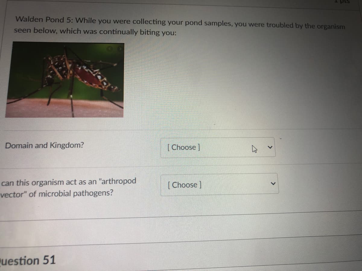 I pis
Walden Pond 5: While you were collecting your pond samples, you were troubled by the organism
seen below, which was continually biting you:
Domain and Kingdom?
[ Choose ]
can this organism act as an "arthropod
vector" of microbial pathogens?
[Choose]
uestion 51
