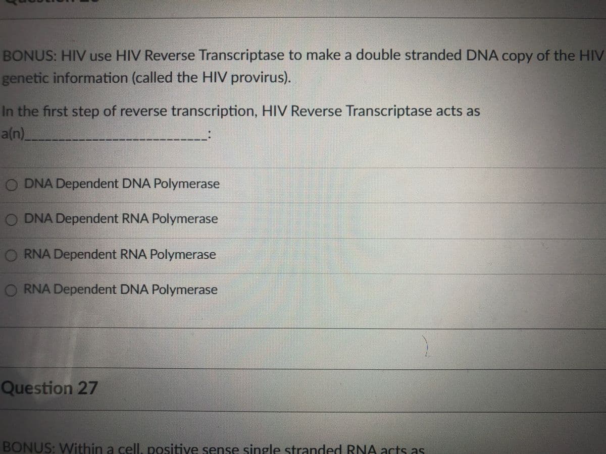 BONUS: HIV use HIV Reverse Transcriptase to make a double stranded DNA copy of the HIV
genetic information (called the HIV provirus).
In the first step of reverse transcription, HIV Reverse Transcriptase acts as
a(n)_
O DNA Dependent DNA Polymerase
DNA Dependent RNA Polymerase
O RNA Dependent RNA Polymerase
RNA Dependent DNA Polymerase
Question 27
BONUS: Within a cell, positive sense single stranded RNA acts as
