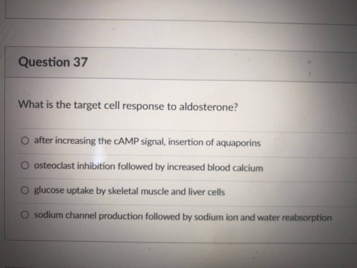 Question 37
What is the target cell response to aldosterone?
O after increasing the CAMP signal, insertion of aquaporins
O osteoclast inhibition followed by increased blood calcium
O glucose uptake by skeletal muscle and liver cells
sodium channel production followed by sodium ion and water reabsorption
