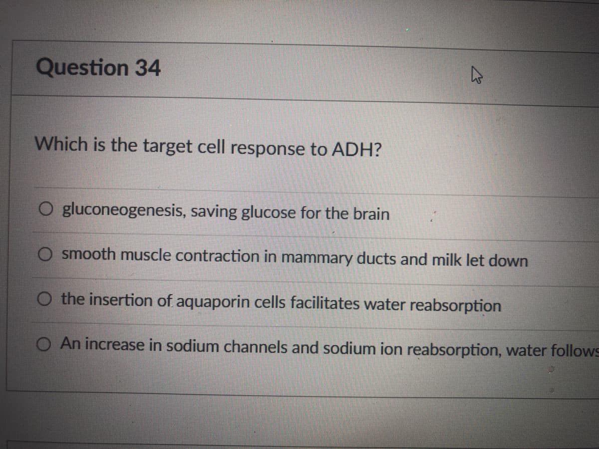 ### Question 34

Which is the target cell response to ADH?

- ○ Gluconeogenesis, saving glucose for the brain
- ○ Smooth muscle contraction in mammary ducts and milk let down
- ○ The insertion of aquaporin cells facilitates water reabsorption
- ○ An increase in sodium channels and sodium ion reabsorption, water follows