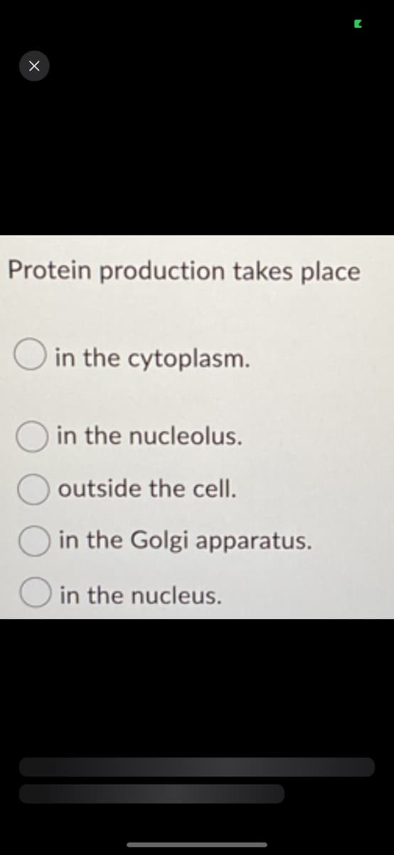 X
Protein production takes place
in the cytoplasm.
in the nucleolus.
outside the cell.
in the Golgi apparatus.
in the nucleus.