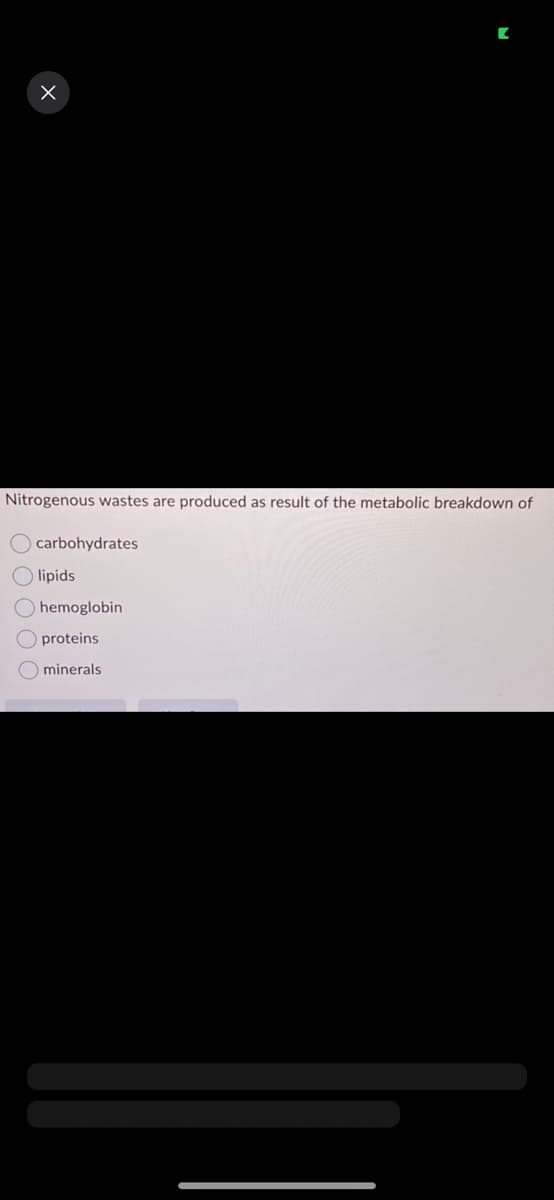 X
Nitrogenous wastes are produced as result of the metabolic breakdown of
carbohydrates
lipids
hemoglobin
proteins
O minerals