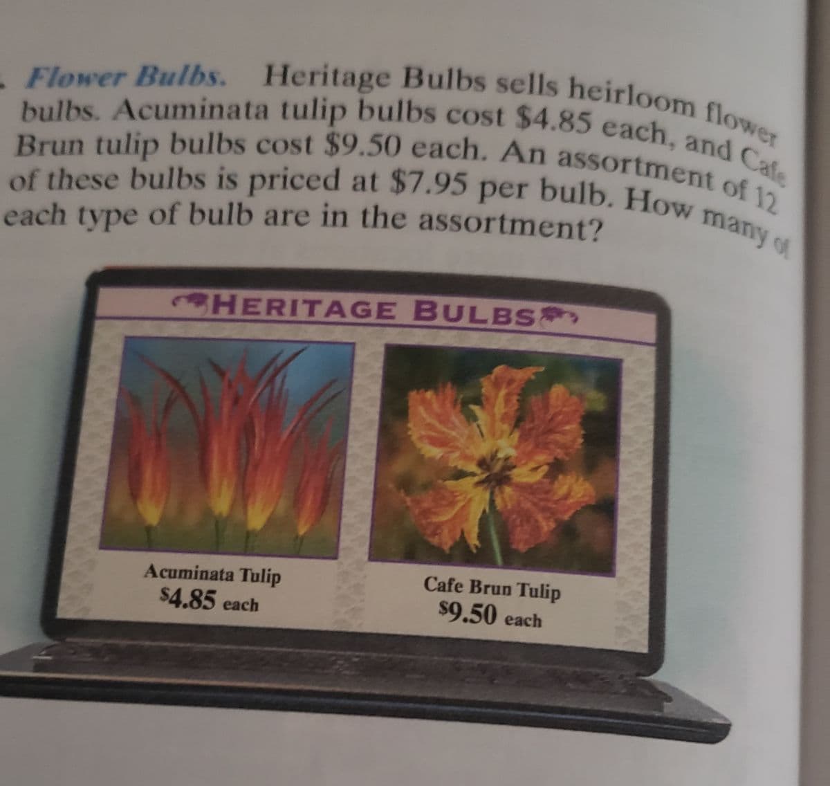 of these bulbs is priced at $7.95 per bulb. How many o
bulbs. Acuminata tulip bulbs cost $4.85 each, and Cafe
Brun tulip bulbs cost $9.50 each. An assortment of 12
-Flower Bulbs. Heritage Bulbs sells heirloom flower
each type of bulb are in the assortment?
HERITAGE BULBS
Acuminata Tulip
$4.85 each
Cafe Brun Tulip
$9.50 each
