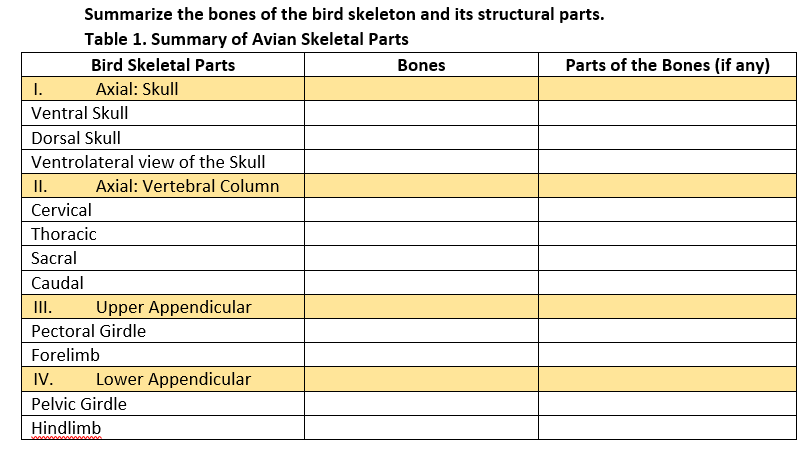 Summarize the bones of the bird skeleton and its structural parts.
Table 1. Summary of Avian Skeletal Parts
Bird Skeletal Parts
Bones
I.
Axial: Skull
Ventral Skull
Dorsal Skull
Ventrolateral view of the Skull
II.
Axial: Vertebral Column
Cervical
Thoracic
Sacral
Caudal
III.
Upper Appendicular
Pectoral Girdle
Forelimb
IV.
Lower Appendicular
Pelvic Girdle
Hindlimb
wwwwwwwwwwwwwww
Parts of the Bones (if any)