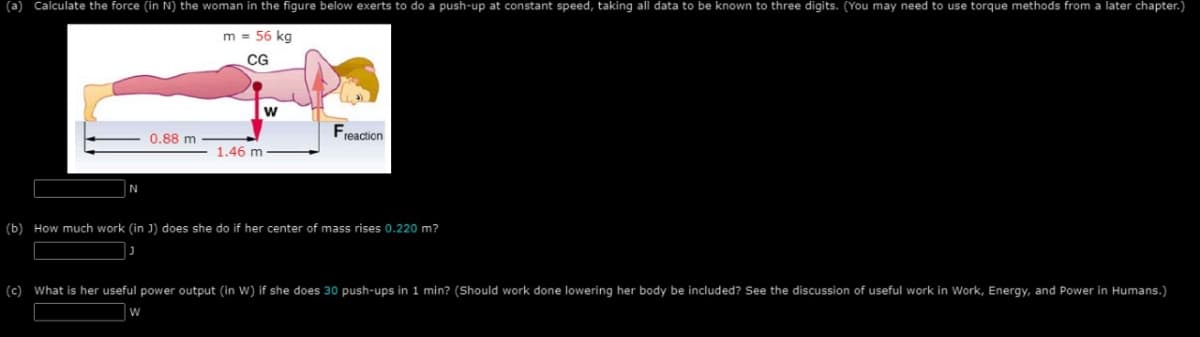 (a) Calculate the force (in N) the woman in the figure below exerts to do a push-up at constant speed, taking all data to be known to three digits. (You may need to use torque methods from a later chapter.)
m = 56 kg
CG
0.88 m
1.46 m
W
Freaction
(b) How much work (in J) does she do if her center of mass rises 0.220 m?
(c) What is her useful power output (in W) if she does 30 push-ups in 1 min? (Should work done lowering her body be included? See the discussion of useful work in Work, Energy, and Power in Humans.)
W