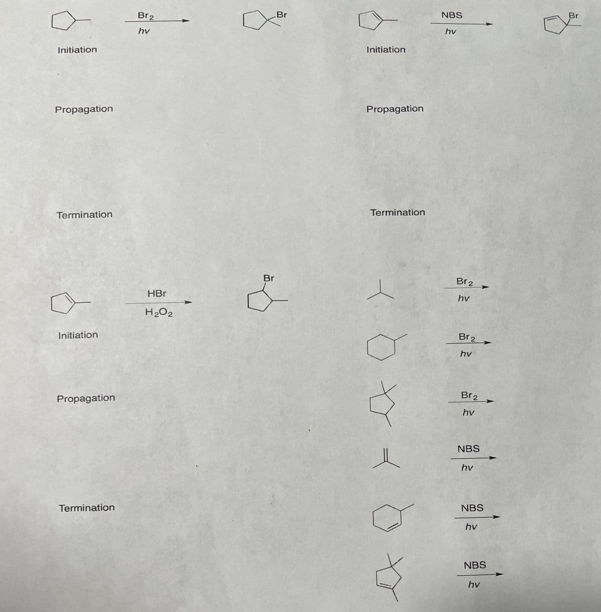 Br
Br2
hv
Initiation
Propagation
Termination
Initiation
Propagation
Termination
HBr
H2O2
Br
NBS
Br
hv
Initiation
Propagation
Termination
AQ
Br 2
hv
Br2
hv
Br2
hv
NBS
hv
NBS
hv
NBS
hv