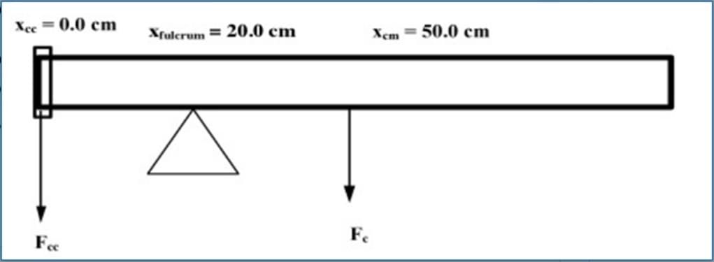 Xee = 0.0 cm
Xfulcrum =
20.0 cm
50.0 cm
Xcm =
Fe
Fee
