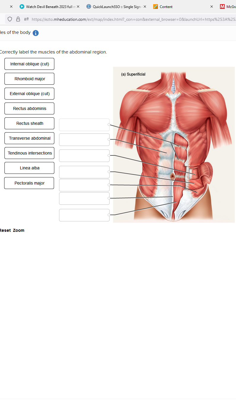 X
Watch Devil Beneath 2023 full mx
les of the body
Correctly label the muscles of the abdominal region.
Internal oblique (cut)
Rhomboid major
8 https://ezto.mheducation.com/ext/map/index.html?_con=con&external_browser=0&launchUrl=https%253A%25
External oblique (cut)
Rectus abdominis
Rectus sheath
Transverse abdominal
Tendinous intersections
Linea alba
QuickLaunchSSO :: Single Sign-X
Pectoralis major
Reset Zoom
Content
(a) Superificial
X
M McGra