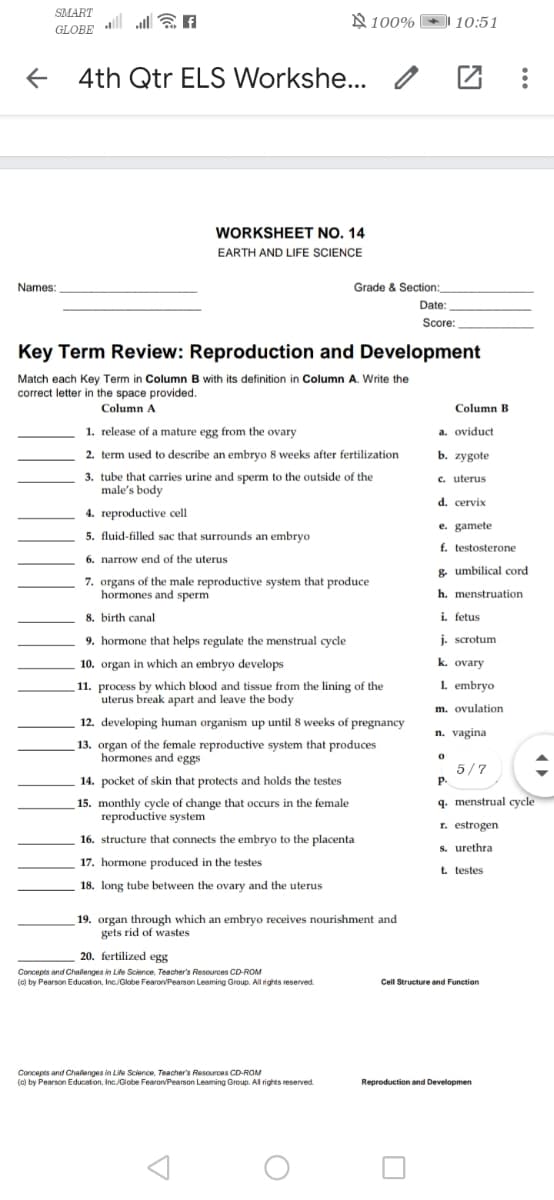 SMART
all all EA
N 100%
10:51
GLOBE
+
4th Qtr ELS Workshe... /
团:
WORKSHEET NO. 14
EARTH AND LIFE SCIENCE
Names:
Grade & Section:_
Date:
Score:
Key Term Review: Reproduction and Development
Match each Key Term in Column B with its definition in Column A. Write the
correct letter in the space provided.
Column A
Column B
1. release of a mature egg from the ovary
a. oviduct
2. term used to describe an embryo 8 weeks after fertilization
b. zygote
3. tube that carries urine and sperm to the outside of the
male's body
c. uterus
d. cervix
4. reproductive cell
e. gamete
5. fluid-filled sac that surrounds an embryo
f. testosterone
6. narrow end of the uterus
& umbilical cord
7. organs of the male reproductive system that produce
hormones and sperm
h. menstruation
8. birth canal
i. fetus
9. hormone that helps regulate the menstrual cycle
j. scrotum
10. organ in which an embryo develops
k. ovary
L. embryo
11. process by which blood and tissue from the lining of the
uterus break apart and leave the body
m. ovulation
12. developing human organism up until 8 weeks of pregnancy
n. vagina
13. organ of the female reproductive system that produces
hormones and eggs
5/7
P.
14. pocket of skin that protects and holds the testes
9. menstrual cycle
15. monthly cycle of change that occurs in the female
reproductive system
r. estrogen
16. structure that connects the embryo to the placenta
S. urethra
17. hormone produced in the testes
t. testes
18. long tube between the ovary and the uterus
19. organ through which an embryo receives nourishment and
gets rid of wastes
20. fertilized egg
Concepts and Chalenges in Lie Scence, Teacher's Resources CD-ROM
(c) by Pearson Education, Inc/Globe Fearon/Pearson Leaming Group. All rights reserved.
Cell Structure and Function
Concepts and Chalenges in Life Science, Teacher's Resources CD-ROM
(c) by Pearson Educaton, Inc/Giobe Fearon/Pearson Leaming Group. All rights reserved.
Reproduction and Developmen
