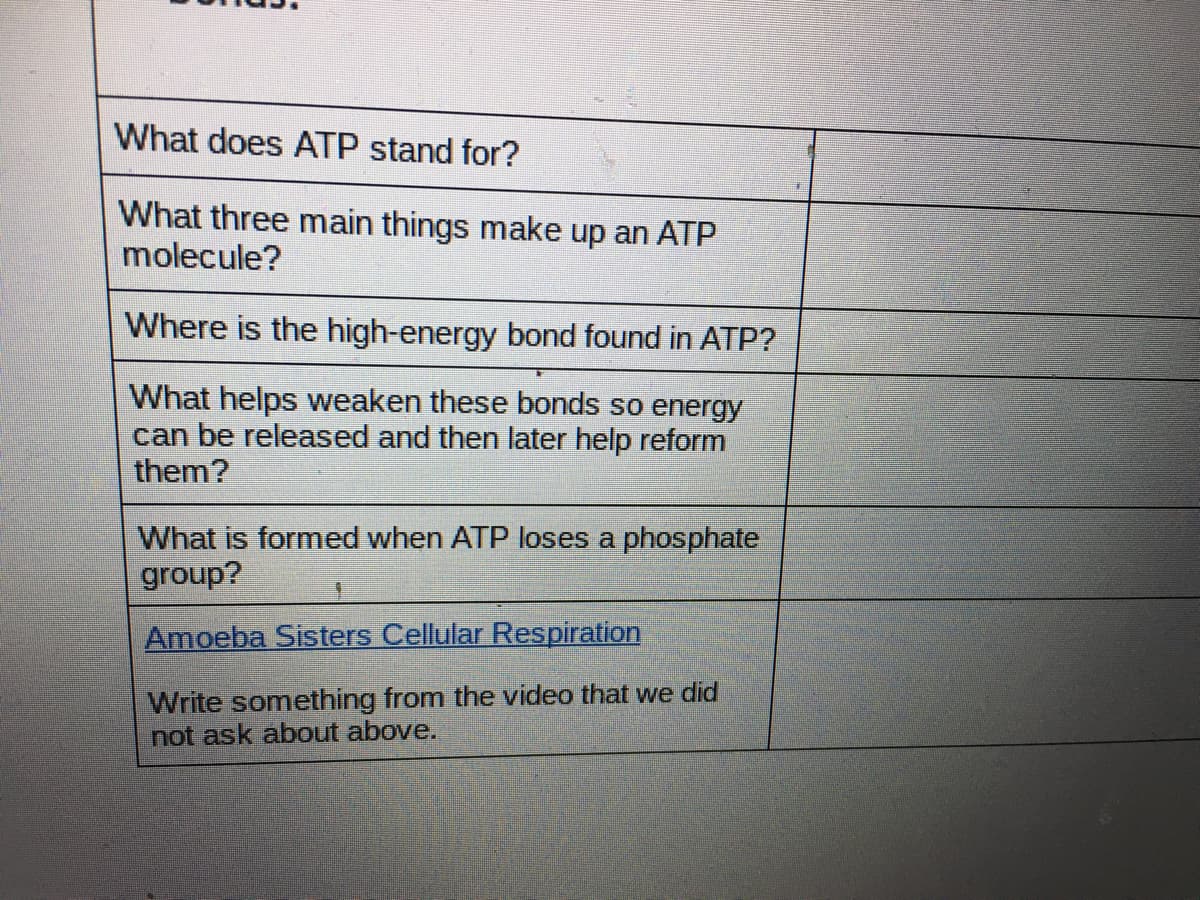 What does ATP stand for?
What three main things make up an ATP
molecule?
Where is the high-energy bond found in ATP?
What helps weaken these bonds so energy
can be released and then later help reform
them?
What is formed when ATP loses a phosphate
group?
Amoeba Sisters Cellular Respiration
Write something from the video that we did
not ask about above.
