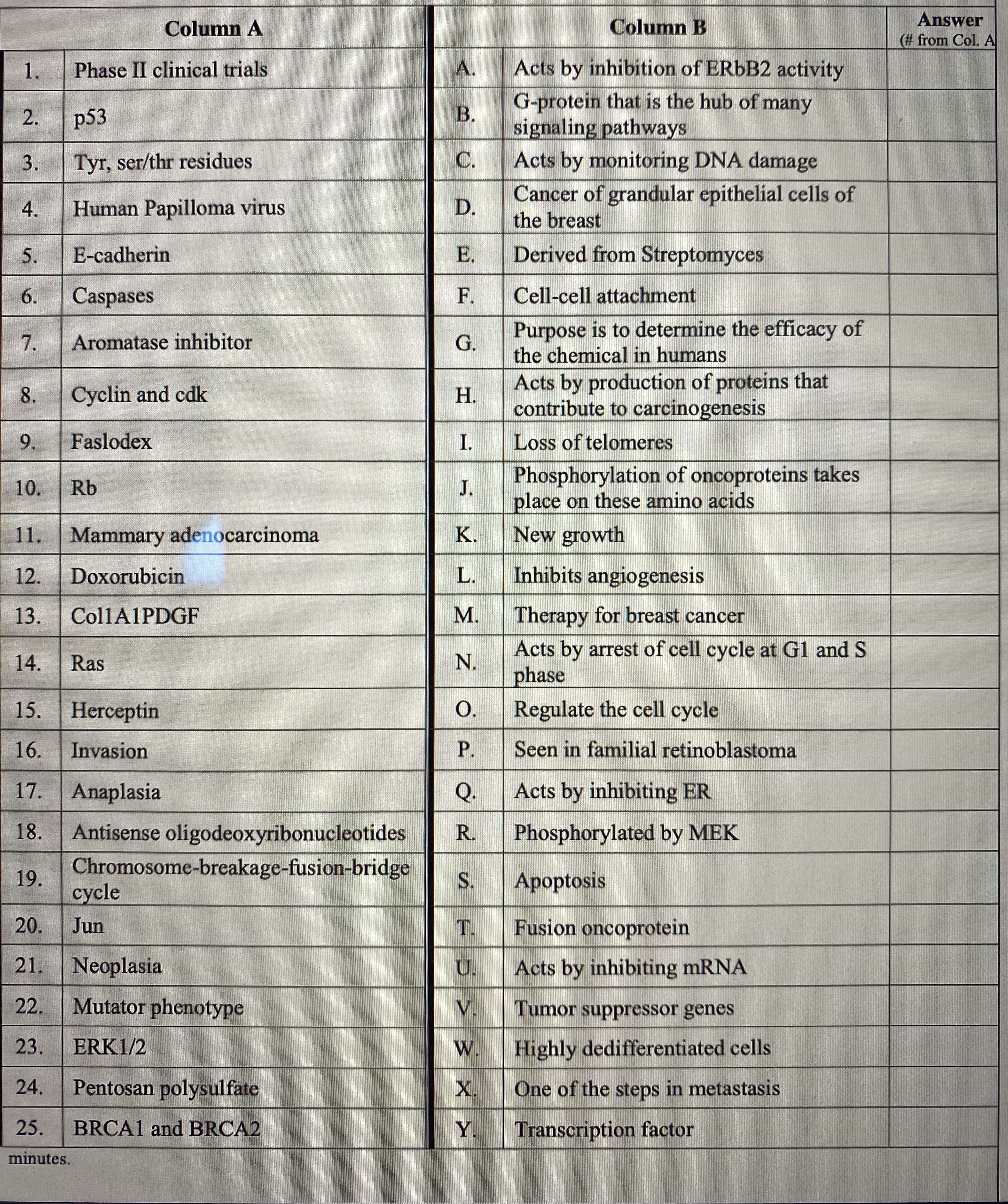 ### Educational Matching Exercise on Oncology Terms

#### Column A: Items and Terms
1. **Phase II clinical trials**
2. **p53**
3. **Tyr, ser/thr residues**
4. **Human Papilloma virus**
5. **E-cadherin**
6. **Caspases**
7. **Aromatase inhibitor**
8. **Cyclin and cdk**
9. **Faslodex**
10. **Rb**
11. **Mammary adenocarcinoma**
12. **Doxorubicin**
13. **Col1A1PDGF**
14. **Ras**
15. **Herceptin**
16. **Invasion**
17. **Anaplasia**
18. **Antisense oligoribonucleotides**
19. **Chromosome-breakage-fusion-bridge cycle**
20. **Jun**
21. **Neoplasia**
22. **Mutator phenotype**
23. **ERK1/2**
24. **Pentosan polysulfate**
25. **BRCA1 and BRCA2**

#### Column B: Descriptions and Functions
A. **Acts by inhibition of ErbB2 activity**
B. **G-protein that is the hub of many signaling pathways**
C. **Acts by monitoring DNA damage**
D. **Cancer of glandular epithelial cells of the breast**
E. **Derived from Streptomyces**
F. **Cell-cell attachment**
G. **Purpose is to determine the efficacy of the chemical in humans**
H. **Acts by production of proteins that contribute to carcinogenesis**
I. **Loss of telomeres**
J. **Phosphorylation of oncoproteins takes place on these amino acids**
K. **New growth**
L. **Inhibits angiogenesis**
M. **Therapy for breast cancer**
N. **Acts by arrest of the cell cycle at G1 and S phase**
O. **Regulate the cell cycle**
P. **Seen in familial retinoblastoma**
Q. **Acts by inhibiting ER**
R. **Phosphorylated by MEK**
S. **Apoptosis**
T. **Fusion oncoprotein**
U. **Acts by inhibiting mRNA**
V. **Tumor suppressor genes**
W. **Highly dedifferentiated cells**
X. **One of the steps in metastasis**
Y