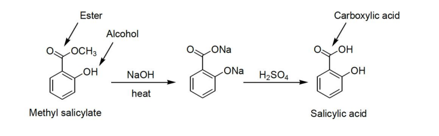 Ester
Carboxylic acid
Alcohol
OCH 3
LONa
OH
OH
ONa
OH
NaOH
H2SO4
heat
Methyl salicylate
Salicylic acid