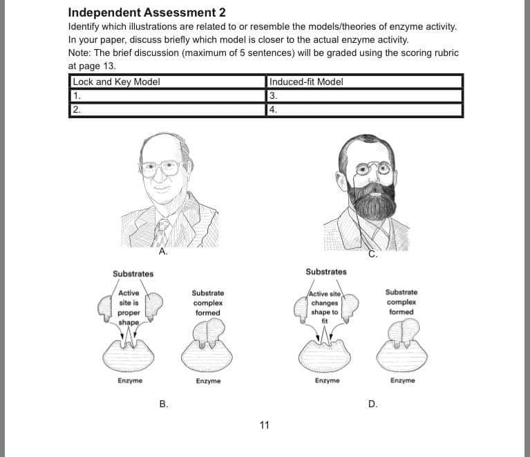 Independent Assessment 2
Identify which illustrations are related to or resemble the models/theories of enzyme activity.
In your paper, discuss briefly which model is closer to the actual enzyme activity.
Note: The brief discussion (maximum of 5 sentences) will be graded using the scoring rubric
at page 13.
Lock and Key Model
1.
2.
Induced-fit Model
3.
4.
А.
Substrates
Substrates
Active
Subatrate
Substrate
Active site
changes
shape to
site is
complex
complex
proper
formed
formed
shape
Enzyme
Enzyme
Enzyme
Enzyme
D.
11
B.
