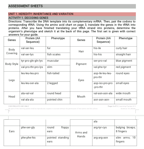 ASSESSMENT SHEETS
UNIT 1. HEREDITY: INHERITANCE AND VARIATION
ACTIVITY 1. DECODING GENES
Directions: Transcribe the DNA template into its complementary MRNA. Then, pair the codons to
corresponding tRNA. Using the amino acid chart on page 3, translate the genes in the TRNA into
proteins. After you have finished translating your tRNA strand into proteins, determine the
organism's phenotype and sketch it at the back of this page. The first set is given with correct
answers for your guide.
Protein (AA
Sequence)
Protein (AA
Sequence)
Phenotype
Phenotype
Genes
Genes
val-ser-leu
fur
his-ile
curly hair
Воdy
Covering val-ser-lys
Hair
fish scales
his-his
straight hair
tyr-pro-gln-gin-lys
muscular
ser-pro-val
blue pigment
Body Style
Pigment
val-pro-thr-pro-lys
val-phe-tyr
red pigment
slim
round eyes
asp-ile-leu-leu-
pro-thr
leu-leu-leu-pro
fish-tailed
Legs
Eyes
leu-leu-ser-ala
2 legged
asp-iso-pro-pro small eyes
-pro-thr
ala-val-val
round head
val-asn-asn-ala wide mouth
Head
Mouth
val-ala-ala
pointed chin
small mouth
asn-asn-asn-
FOR PRIVATE USE ONLY
Page 6 of9Leaming Packet AS
No part of the leaming sadket ahallbe praduced capied aracerced withaun the permiaien af the auther and the schoal
Scence 10 (Week
ala
round
floppy
bulging biceps;
8 fingers
phe-ser-gly
arg-tyr-cys
Ears
ears
Arms and
phe-phe-his
pointed standing
Hands
arg-arg-asn
slim arms; 10
ears
fingers
