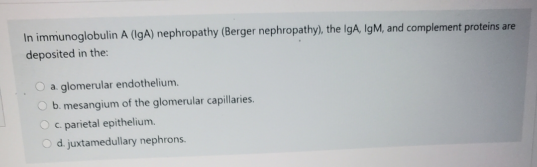 In immunoglobulin A (IgA) nephropathy (Berger nephropathy), the IgA, IgM, and complement proteins are
deposited in the:
a. glomerular endothelium.
O b. mesangium of the glomerular capillaries.
O c. parietal epithelium.
O d. juxtamedullary nephrons.
