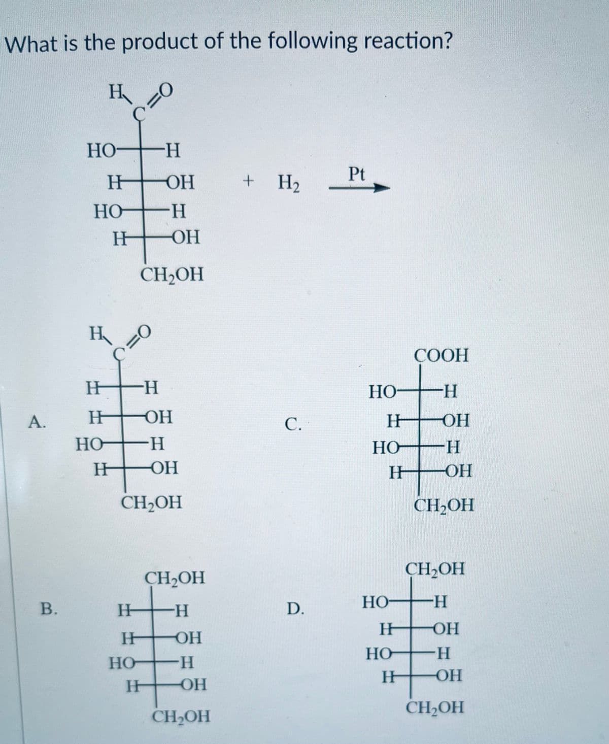 What is the product of the following reaction?
А.
B.
H
но- -Н
ң
HO
H
H
HO
C=0
HOH
-Н
H
H
-ОН
CH₂OH
C=o
-Н
ОН
H
ОН
CH₂OH
H
CH₂OH
-Н
H
но-
H
ОН
H
-ОН
CH₂OH
+ H2
С.
D.
Pt
но- -Н
H
но-
H
но-
H
Но
COOH
H
ОН
-Н
-ОН
CH2OH
CH₂OH
-H
ОН
-Н
-OH
CH2OH