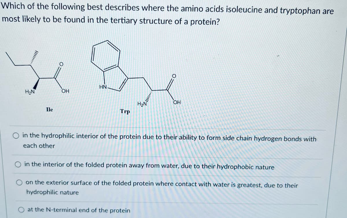 Which of the following best describes where the amino acids isoleucine and tryptophan are
most likely to be found in the tertiary structure of a protein?
HN
H₂N
OH
Ile
о
H₂N
OH
Trp
in the hydrophilic interior of the protein due to their ability to form side chain hydrogen bonds with
each other
in the interior of the folded protein away from water, due to their hydrophobic nature
on the exterior surface of the folded protein where contact with water is greatest, due to their
hydrophilic nature
at the N-terminal end of the protein