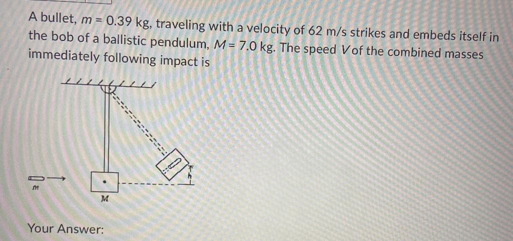 A bullet, m = 0.39 kg, traveling with a velocity of 62 m/s strikes and embeds itself in
the bob of a ballistic pendulum, M- 7.0 kg. The speed V of the combined masses
immediately following impact is
m
M
Your Answer: