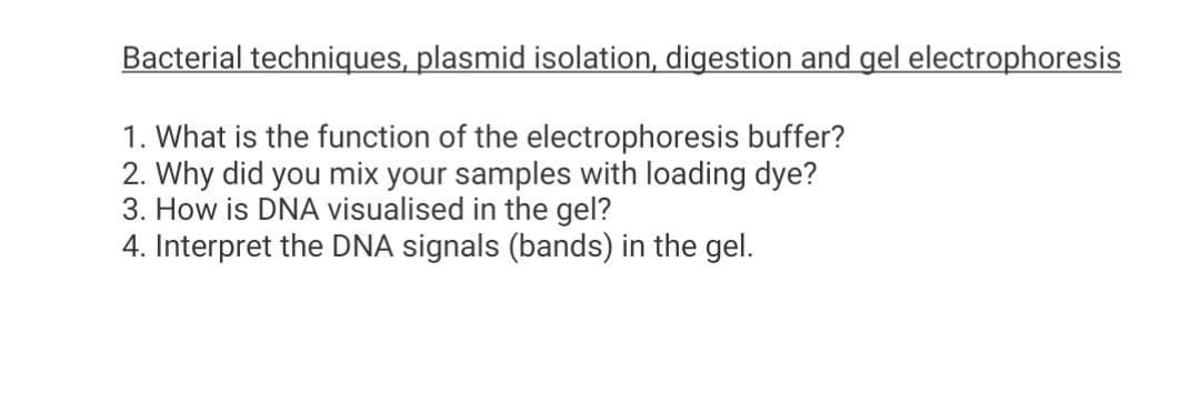 Bacterial techniques, plasmid isolation, digestion and gel electrophoresis
1. What is the function of the electrophoresis buffer?
2. Why did you mix your samples with loading dye?
3. How is DNA visualised in the gel?
4. Interpret the DNA signals (bands) in the gel.
