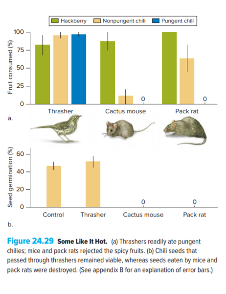 I Hackberry O Nonpungent chili
Pungent chili
100
75
50
Thrasher
Cactus mouse
Pack rat
а.
40
20
Control
Thrasher
Cactus mouse
Pack rat
b.
Figure 24.29 Some Like It Hot. (a) Thrashers readily ate pungent
chilies; mice and pack rats rejected the spicy fruits. (b) Chili seeds that
passed through thrashers remained viable, whereas seeds eaten by mice and
pack rats were destroyed. (See appendix B for an explanation of error bars.)
Seed germination (%)
Fruit consumed (%)
