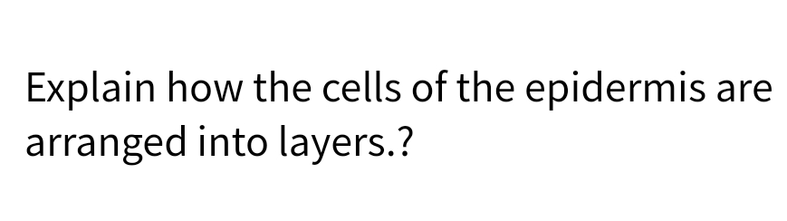 Explain how the cells of the epidermis are
arranged into layers.?
