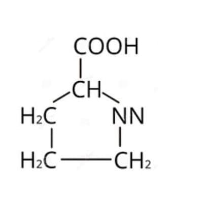 СООН
-CH
H2C
NN
H2C CH2
