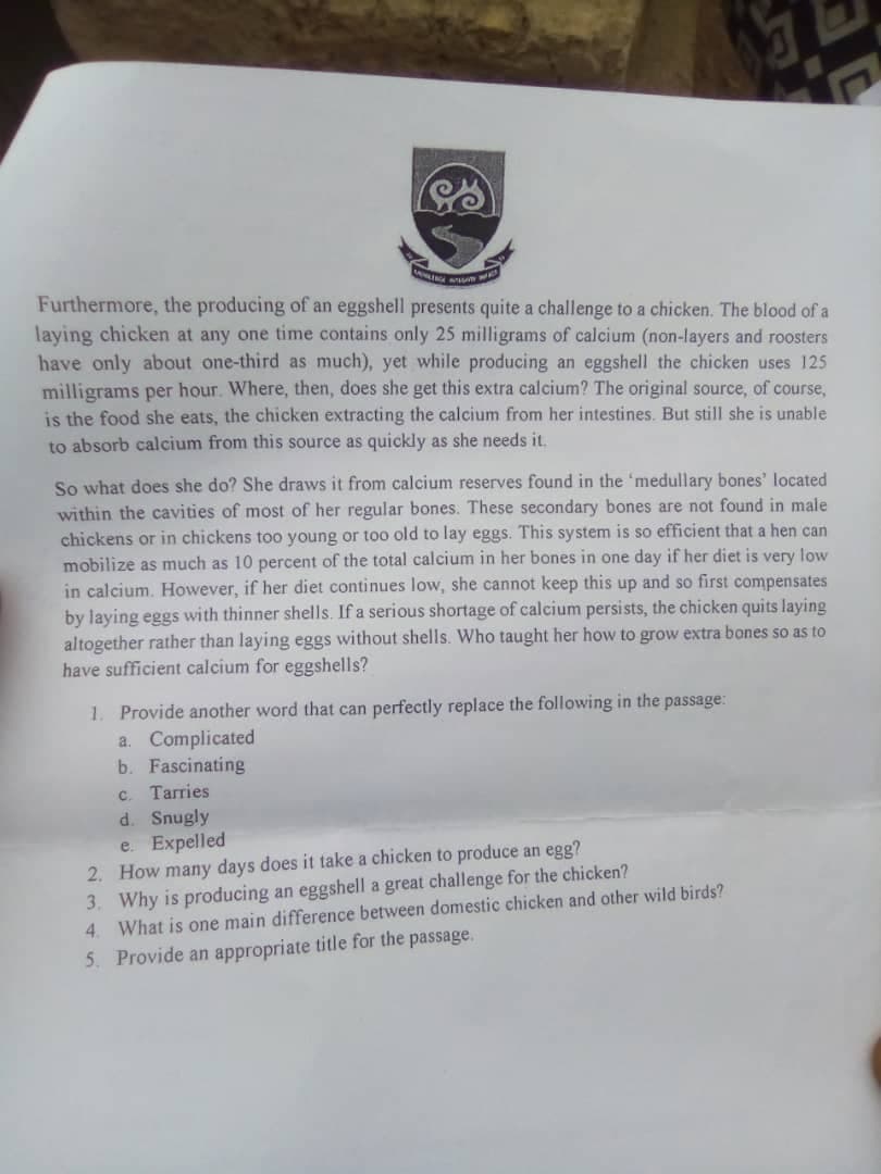 Furthermore, the producing of an eggshell presents quite a challenge to a chicken. The blood of a
laying chicken at any one time contains only 25 milligrams of calcium (non-layers and roosters
have only about one-third as much), yet while producing an eggshell the chicken uses 125
milligrams per hour. Where, then, does she get this extra calcium? The original source, of course,
is the food she eats, the chicken extracting the calcium from her intestines. But still she is unable
to absorb calcium from this source as quickly as she needs it.
So what does she do? She draws it from calcium reserves found in the 'medullary bones' located
within the cavities of most of her regular bones. These secondary bones are not found in male
chickens or in chickens too young or too old to lay eggs. This system is so efficient that a hen can
mobilize as much as 10 percent of the total calcium in her bones in one day if her diet is very low
in calcium. However, if her diet continues low, she cannot keep this up and so first compensates
by laying eggs with thinner shells. If a serious shortage of calcium persists, the chicken quits laying
altogether rather than laying eggs without shells. Who taught her how to grow extra bones so as to
have sufficient calcium for eggshells?
1. Provide another word that can perfectly replace the following in the passage:
a. Complicated
b. Fascinating
C.
Таrries
d. Snugly
e. Expelled
2. How many days does it take a chicken to produce an egg?
3. Why is producing an eggshell a great challenge for the chicken?
4. What is one main difference between domestic chicken and other wild birds?
5. Provide an appropriate title for the passage,

