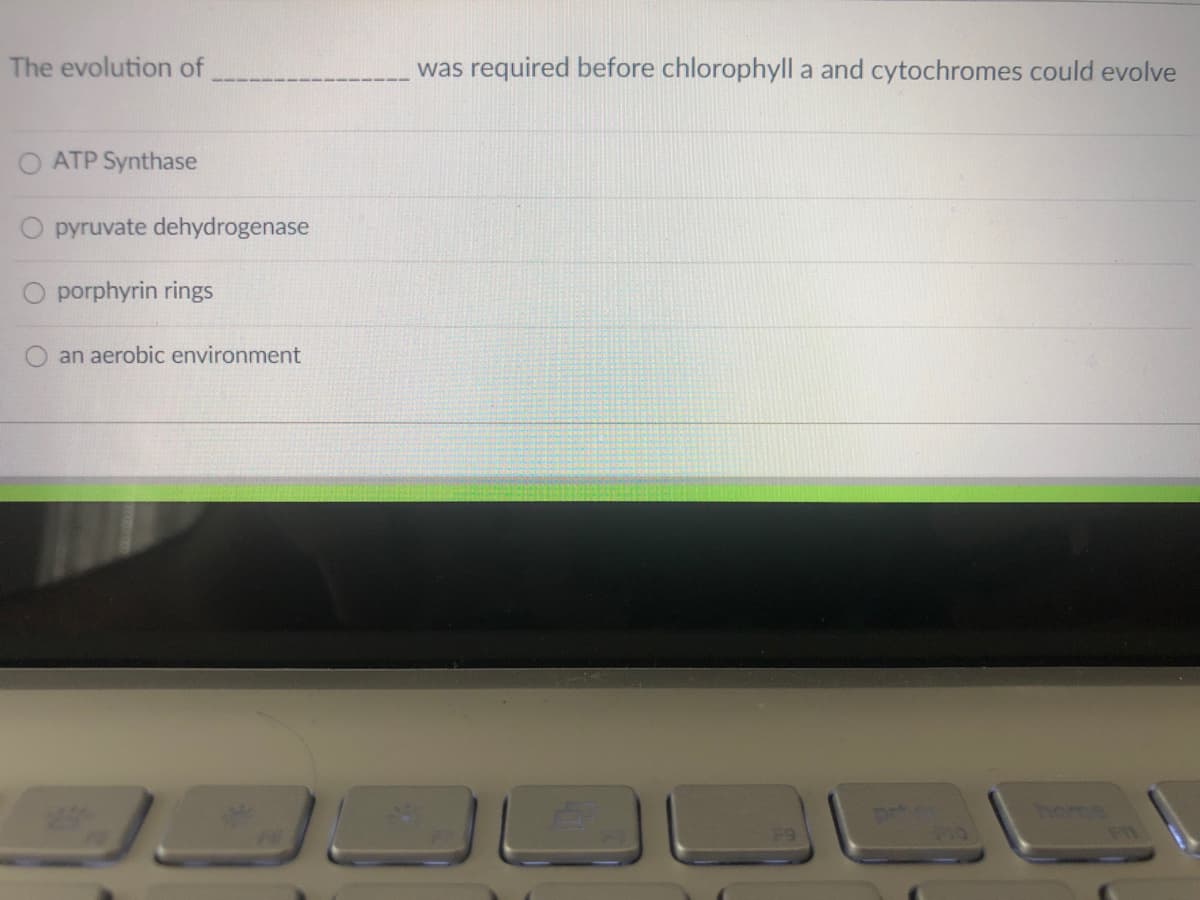 The evolution of
was required before chlorophyll a and cytochromes could evolve
O ATP Synthase
pyruvate dehydrogenase
porphyrin rings
an aerobic environment
home
F11
