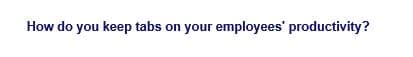 How do you keep tabs on your employees' productivity?