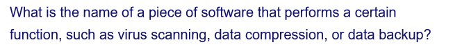 What is the name of a piece of software that performs a certain
function, such as virus scanning, data compression, or data backup?